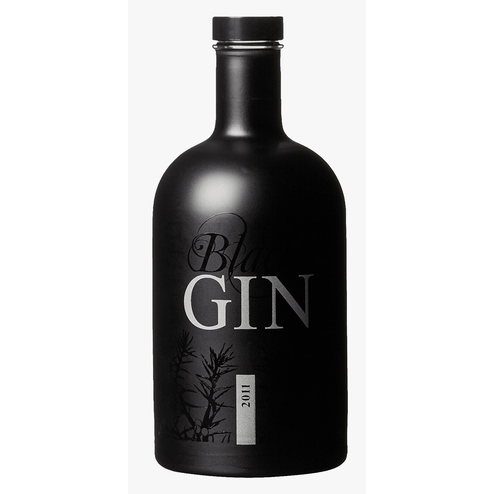 Black Gin 2012 45% 0.7l